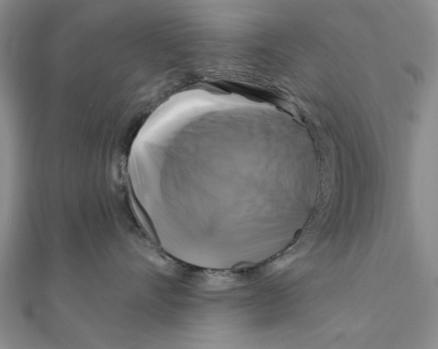 X0000111200528200907291232