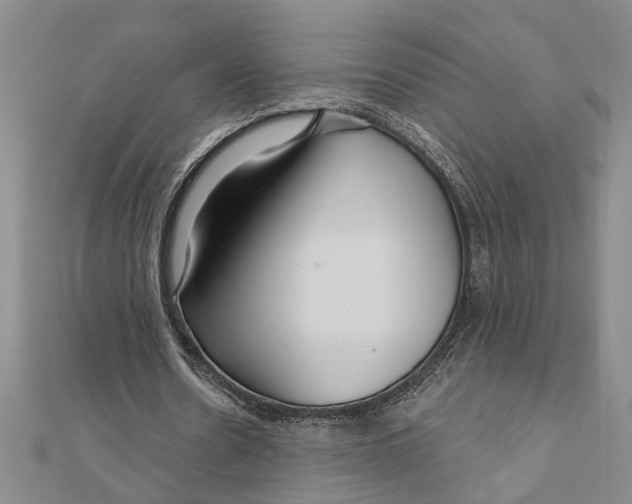 X0000111200530200907291232