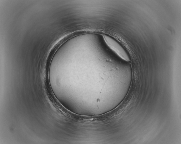 X0000111200532200907291232