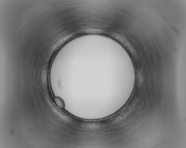 X0000111200533200907291232