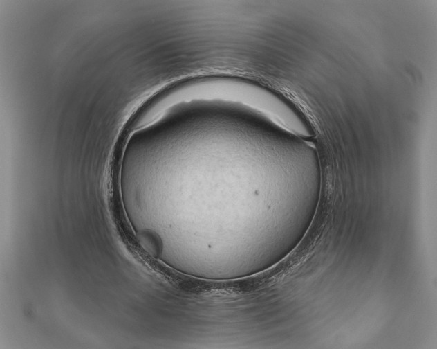 X0000111200536200907291232