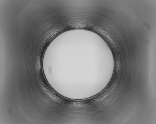 X0000111200541200907291232