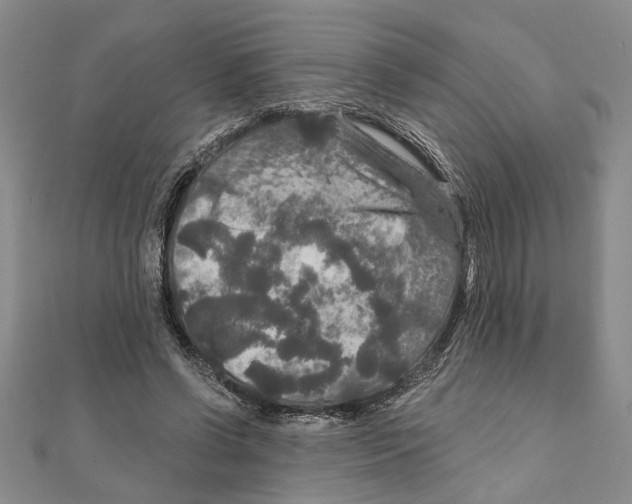 X0000111200542200907291232