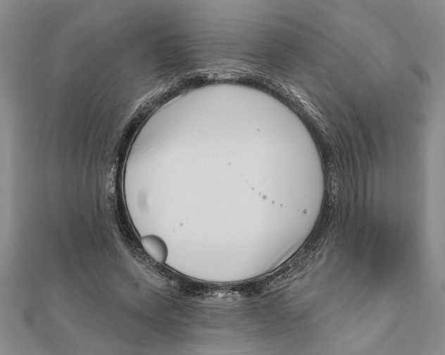 X0000111200543200907291232