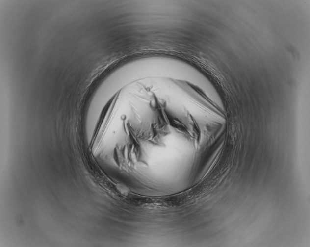 X0000111200544200907291232