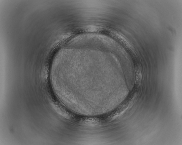 X0000111200546200907291232