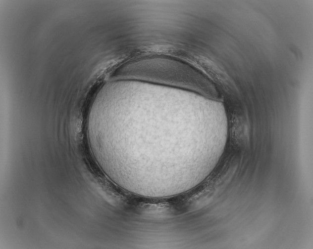 X0000111200548200907291232