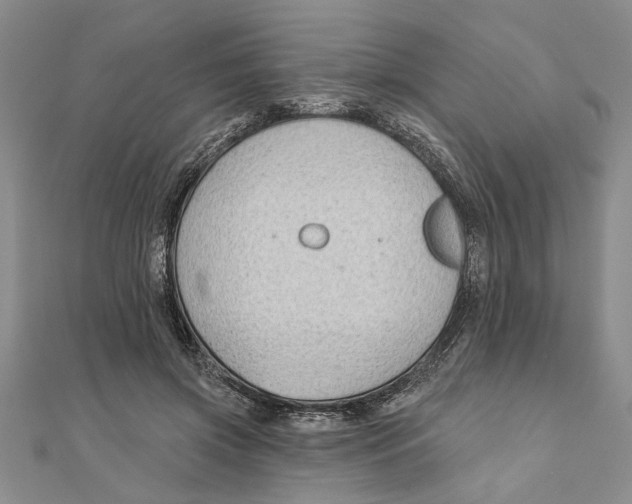 X0000111200549200907291232