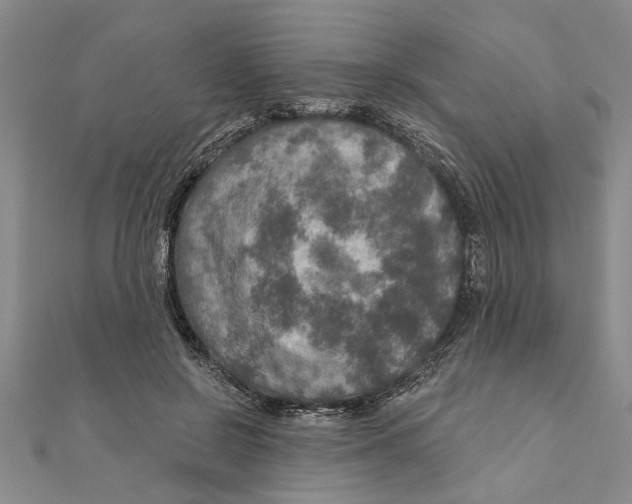 X0000111200550200907291232