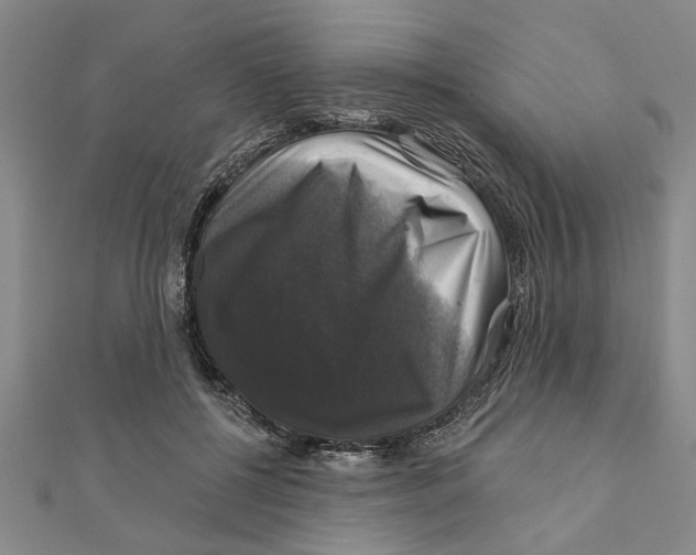 X0000111200552200907291232