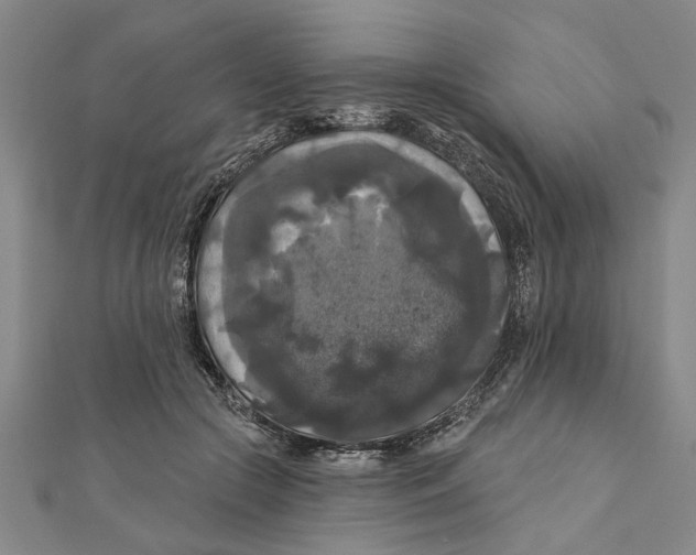 X0000111200553200907291232