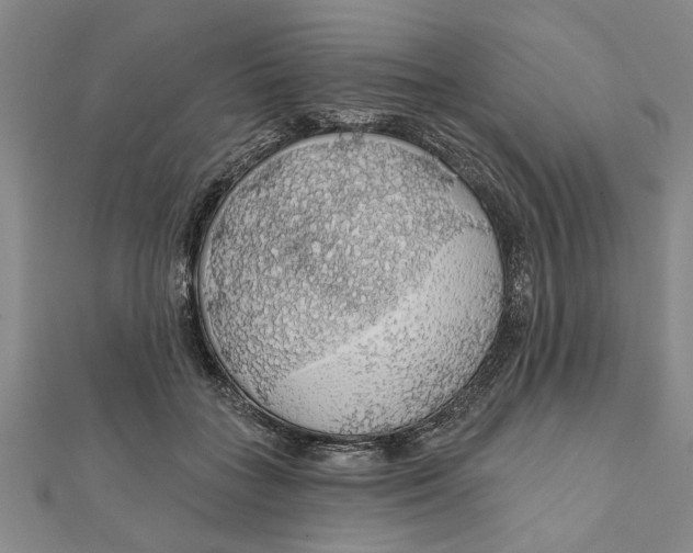 X0000111200555200907291232