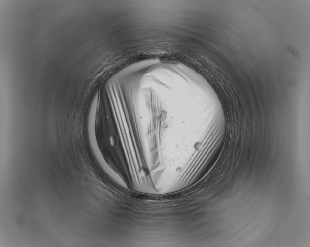 X0000111200556200907291232