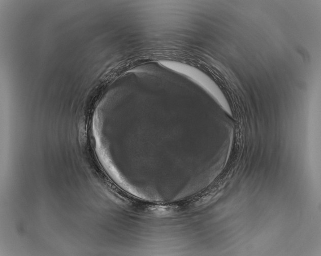 X0000111200558200907291232