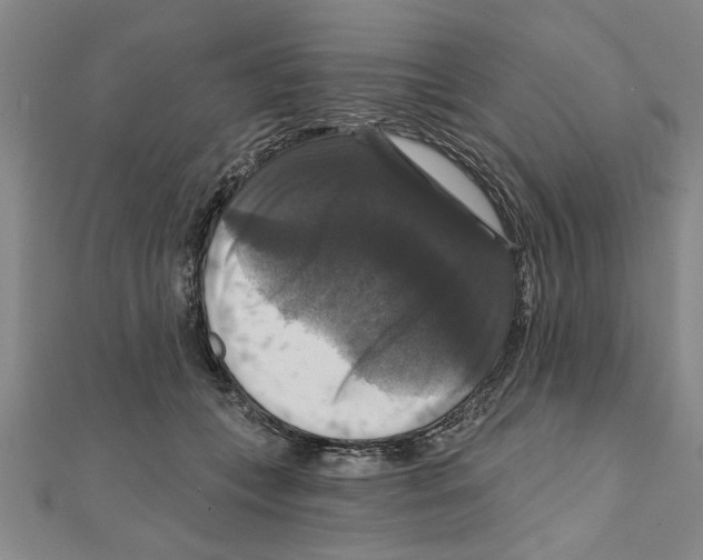 X0000111200559200907291232