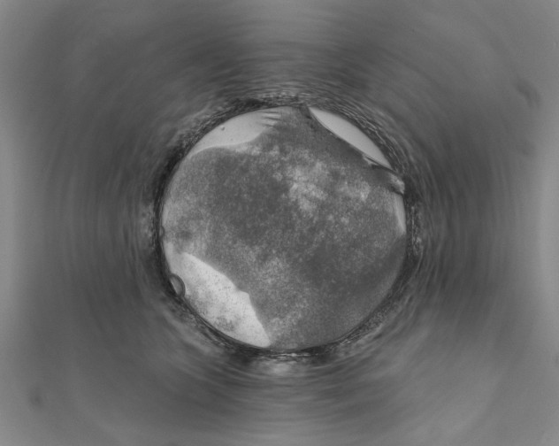 X0000111200563200907291232