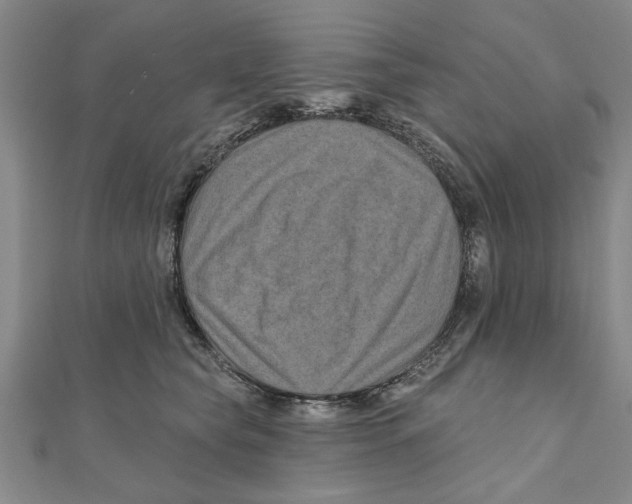 X0000111200565200907291232