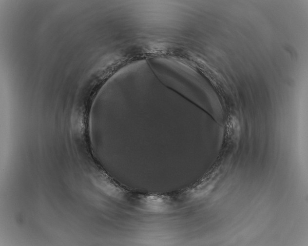 X0000111200566200907291232