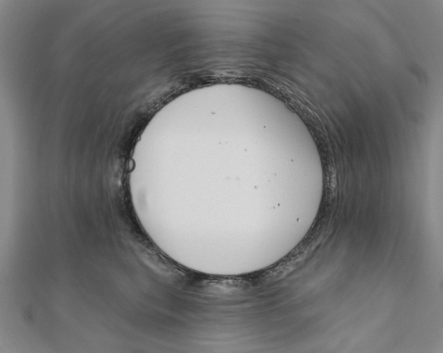 X0000111200567200907291232