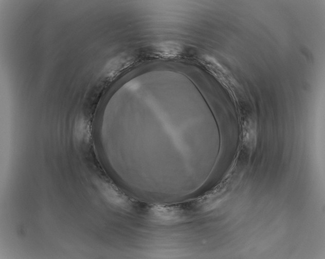 X0000111200568200907291232