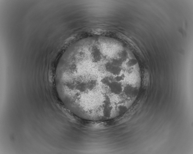 X0000111200569200907291232