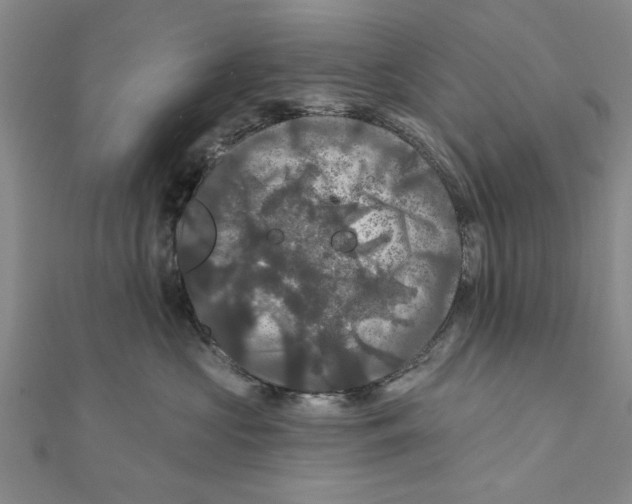 X0000111200573200907291232