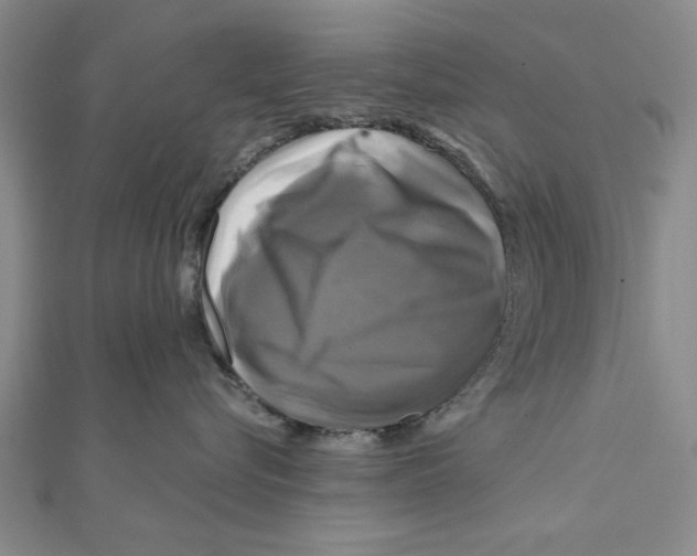 X0000111200576200907291232