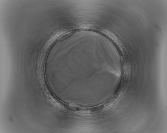 X0000111200577200907291232