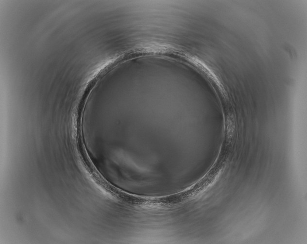 X0000111200581200907291232