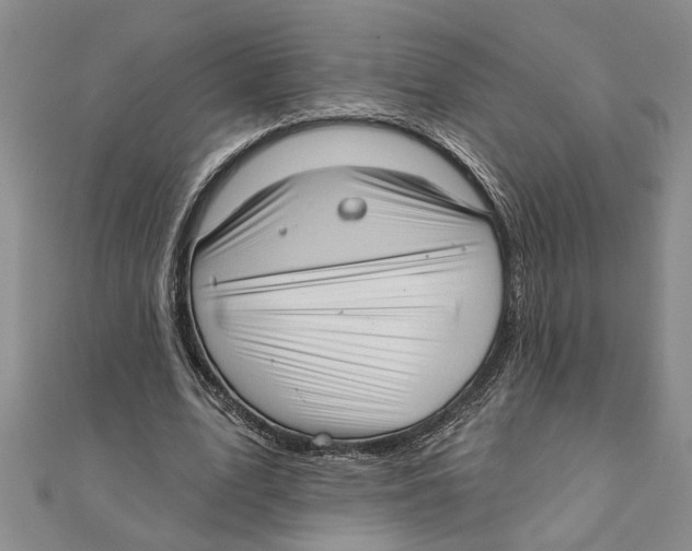 X0000111200583200907291231