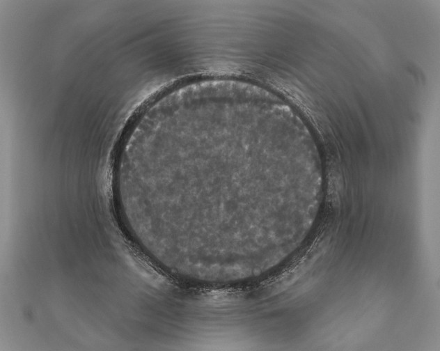 X0000111200584200907291231