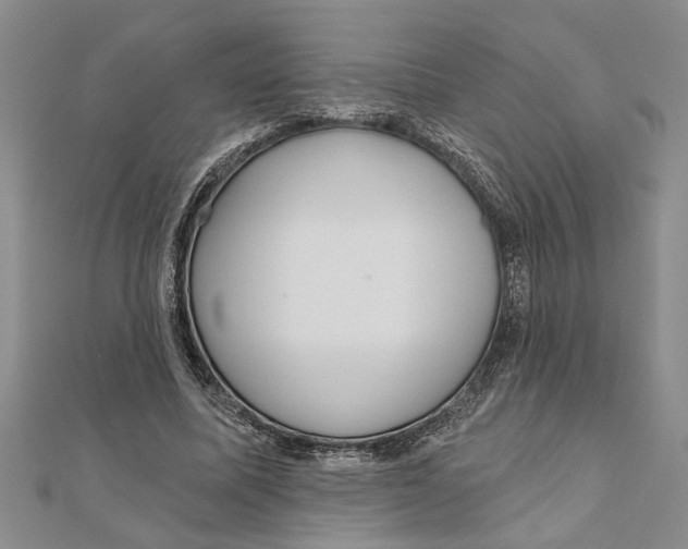 X0000111200587200907291231