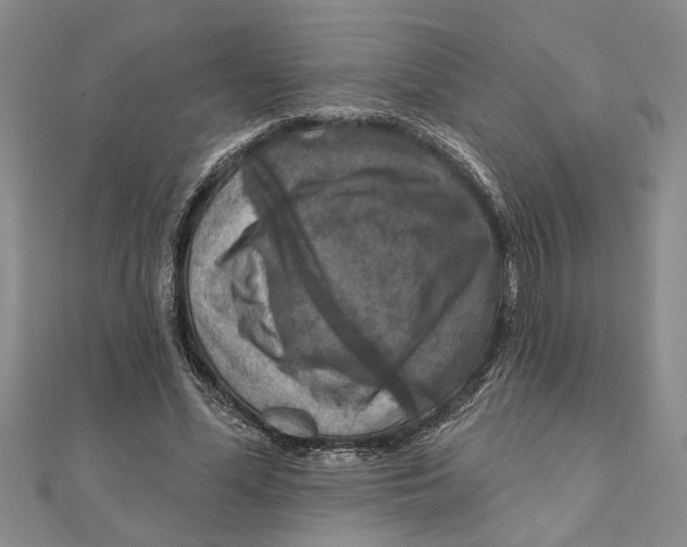 X0000111200588200907291231