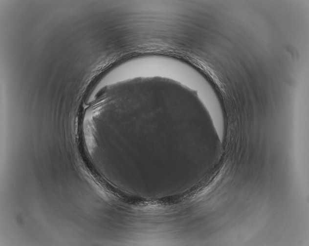 X0000111200589200907291231