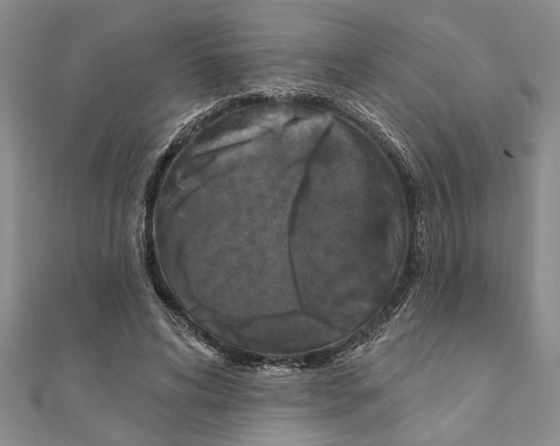 X0000111200592200907291231