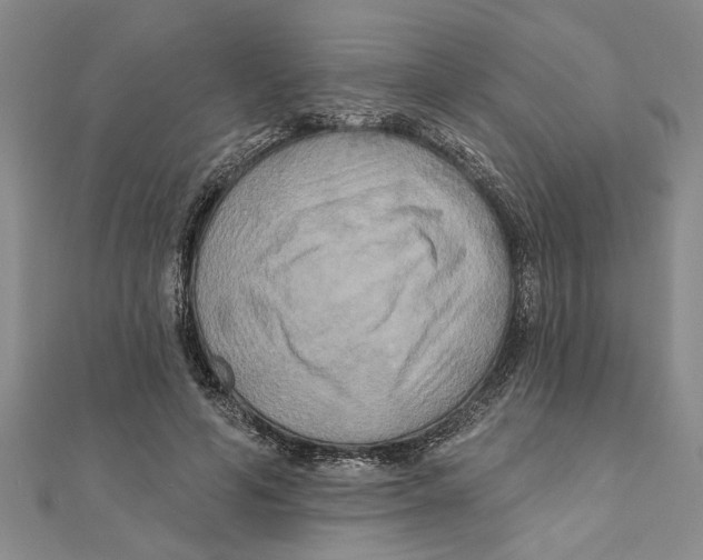 X0000111200594200907291231