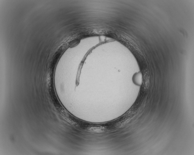 X0000111200595200907291231