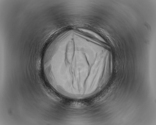 X0000111200596200907291231