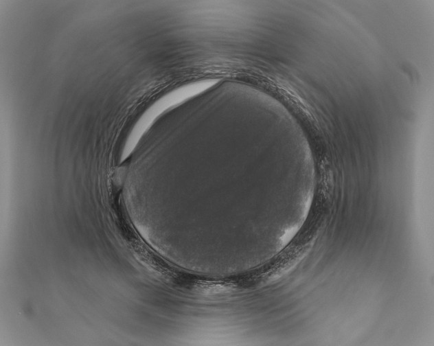 X0000111200597200907291231