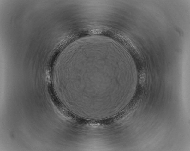 X0000111200598200907291231