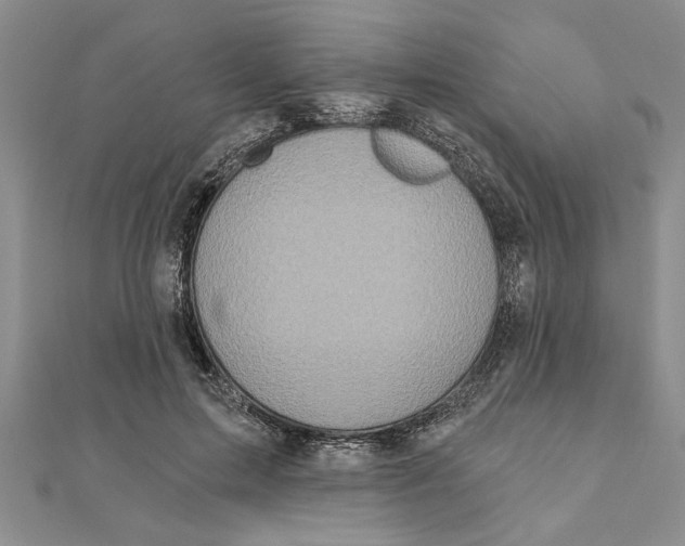 X0000111200599200907291231