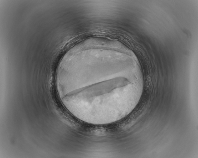 X0000111200600200907291231