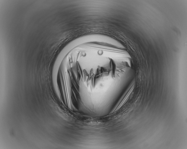 X0000111200601200907291231