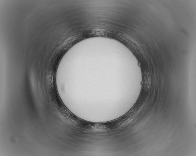 X0000111200603200907291231