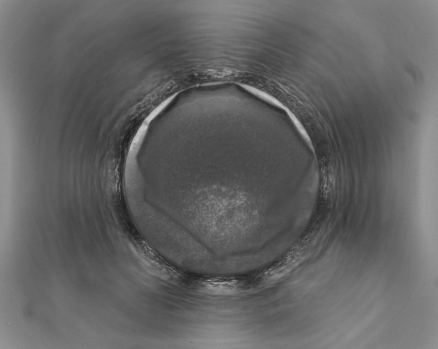 X0000111200606200907291231