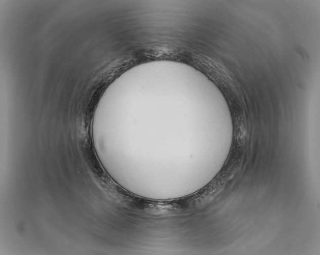 X0000111200607200907291231