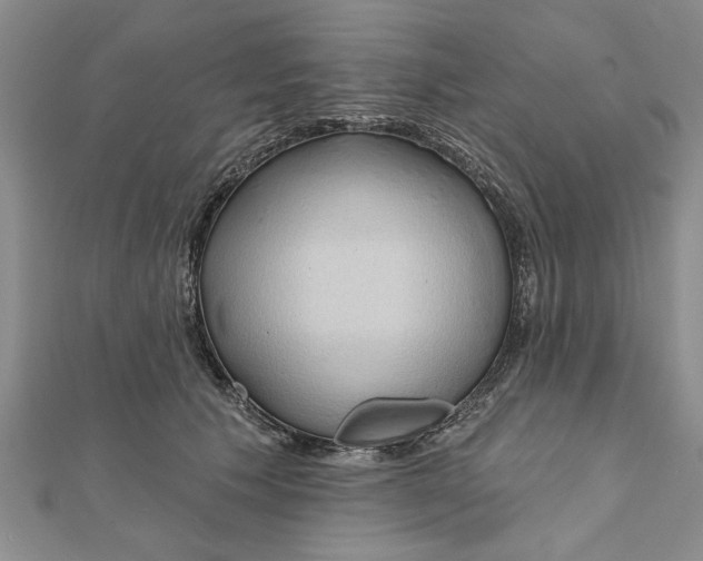 X0000111200609200907291231