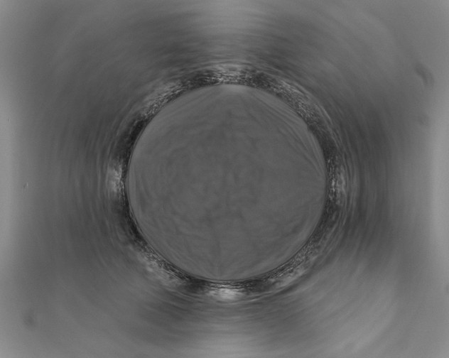 X0000111200610200907291231