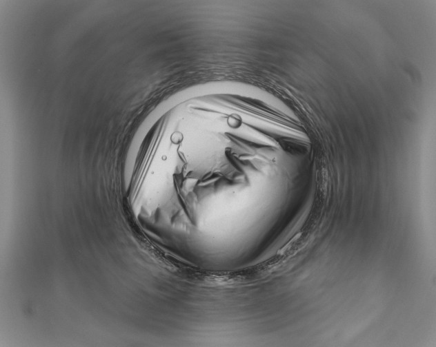 X0000111200613200907291231