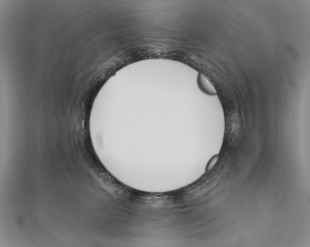 X0000111200615200907291231